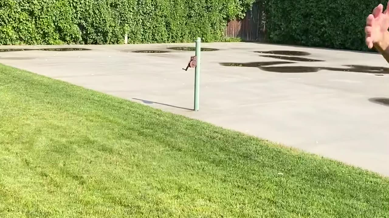 #TheCrazyMurphys