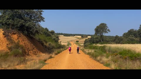 Walking is Man's Best Medicine