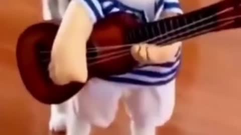 🤣🤣🤣 Funny Cat Play Guitar 🤣🤣🤣