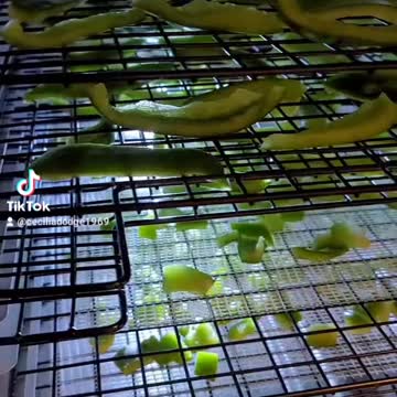 Dehydrated bell pepper