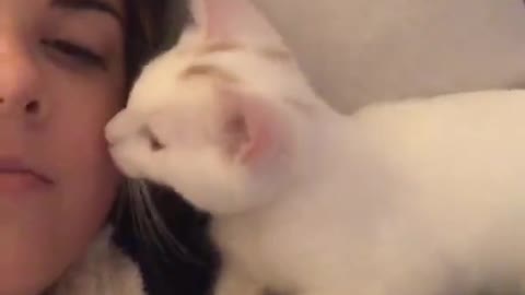 Girl kisses cat and cat kisses her back