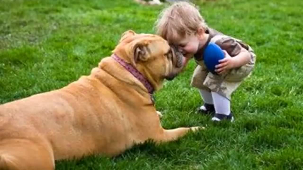 Funny Dogs and Babies are Best Friends-2021