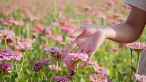 Amazing flowers