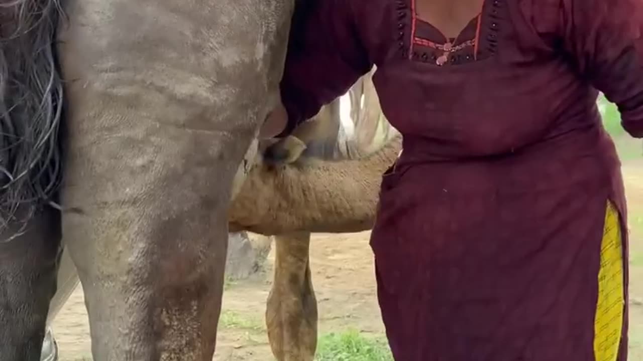 Traditional hard life desert people in pakistan