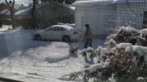 Caught Neighbor Trying To Knock Down Trump Sign