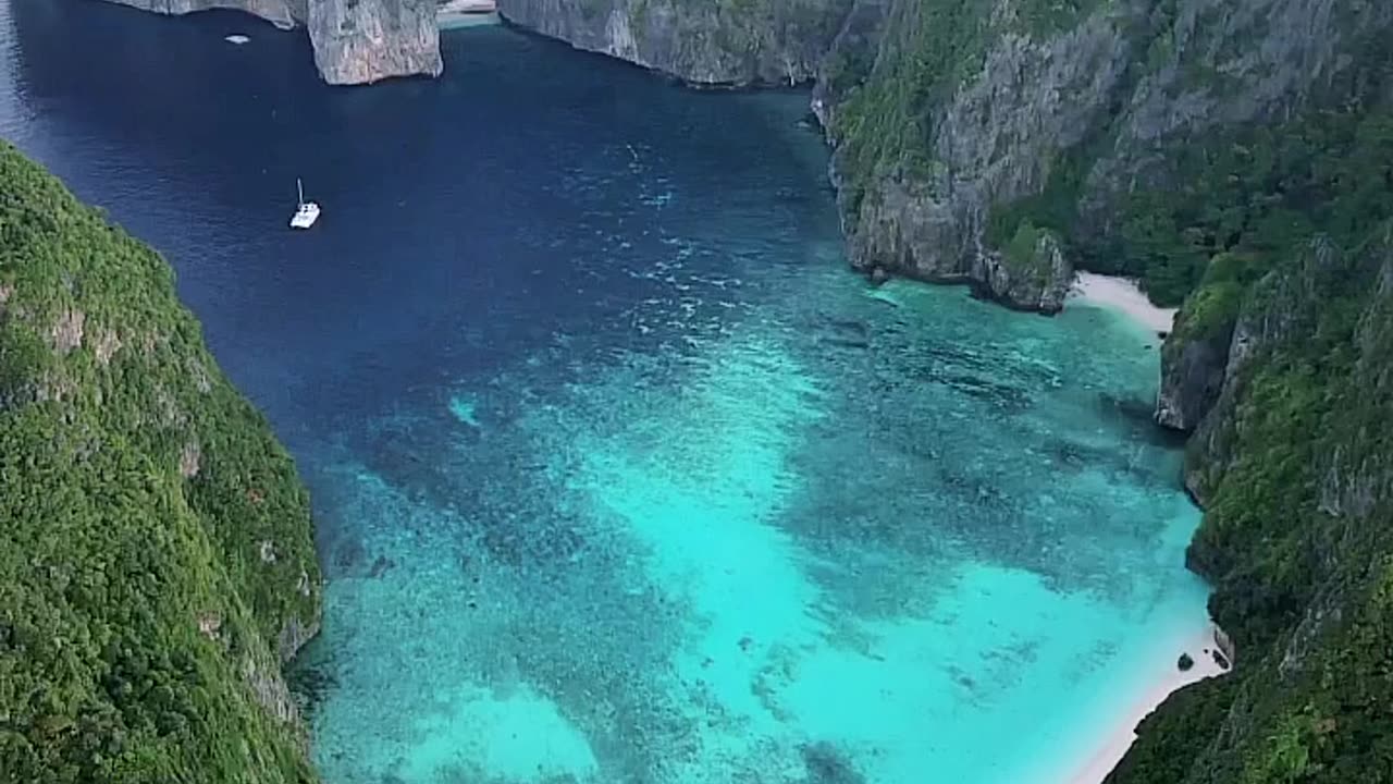 Koh Phi Phi, Thailand #travel #viral #shorts