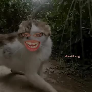 Kaha bhag raha hai | Bangad Billa | ankit ang #2shots #shorts #angvines #bangadbilla