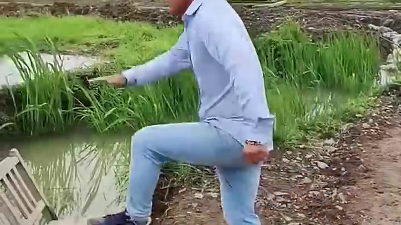 Try not to laugh 😂