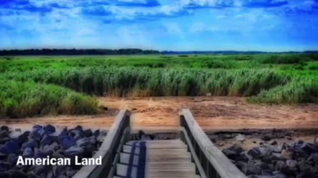 American Land by Foster Campbell