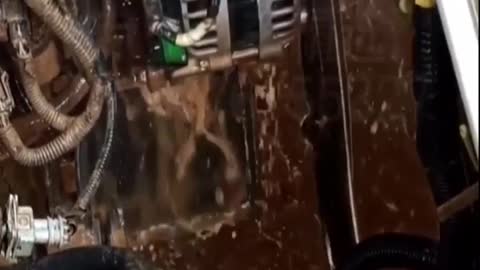 Video of The Whole Process of Washing a Car .