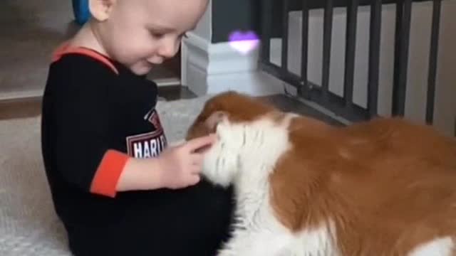 Baby and cat priceless moments