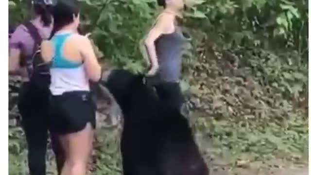 Wild bear with frighten girls 😱