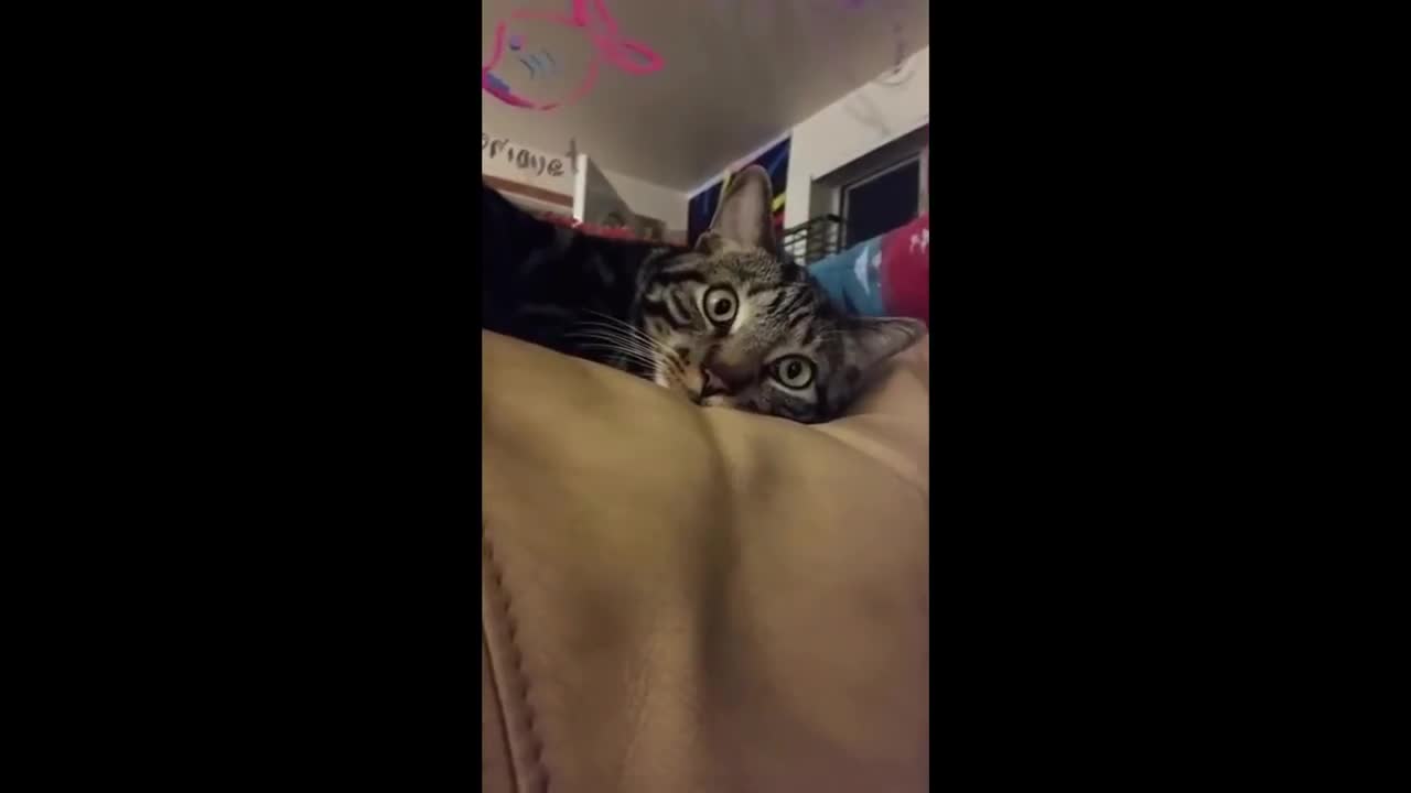 .ALL SYSTEMS NOMINAL