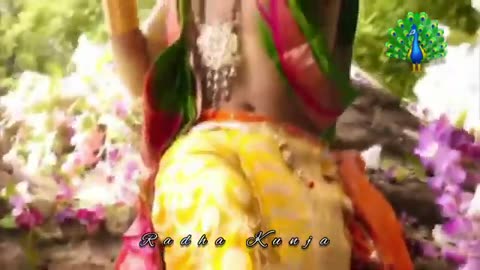 MEERA--Rahul Dutta Radha Krishna
