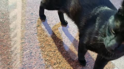 20240422 165743 Tux Molest