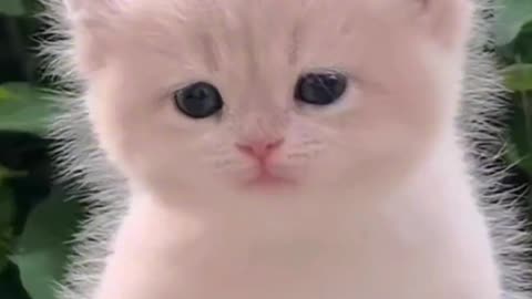 I'm small, but I'm strong