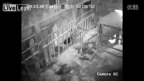 RAW: Baby Elephant Cries For 5 Hours Stomped and Kicked by Mom FULL