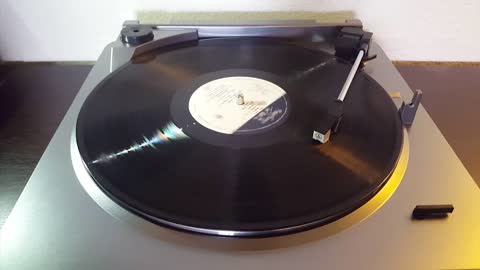 Pink Floyd - The Wall: Comfortably Numb - Black Vinyl LP