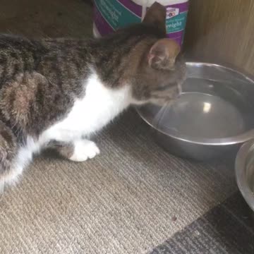 Ruthy decide to come home after a year and a half