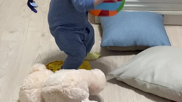 Cute Baby Toddler Playing With A Ball