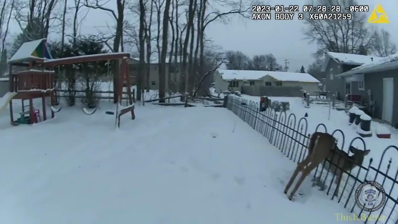 Wausau Police Officer rescues deer stuck behind bars