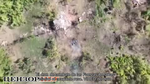 El dron de combate de las Fuerzas Armadas eliminó al ocupante ruso. VIDEO del dron