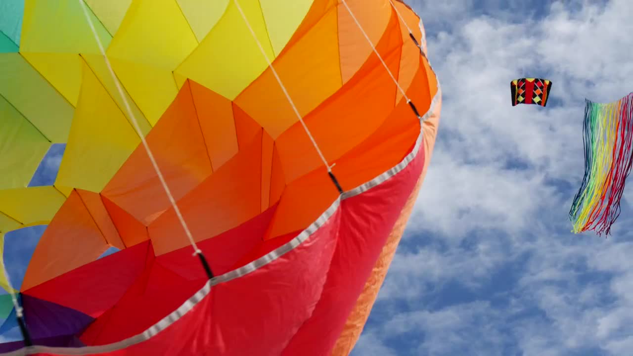 Colorful kites in the sky