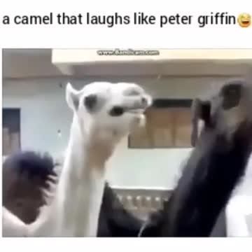 "The world is inherently turbid, sin and love sing together"