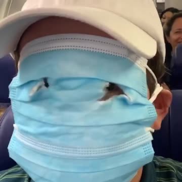 Primetime Alex Stein Shows the Proper Way to Fly 🤣