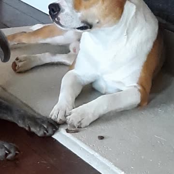 What Is Tucker Carlson Thinking Now