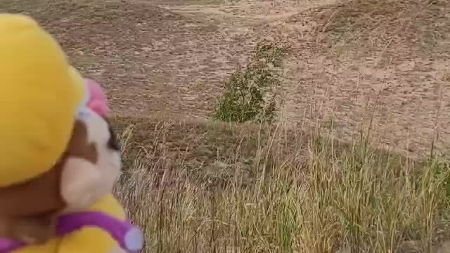 Wario Stranded In The Desert