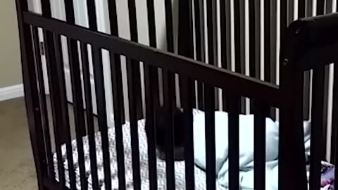 😂 baby's escape moment 😍🤣