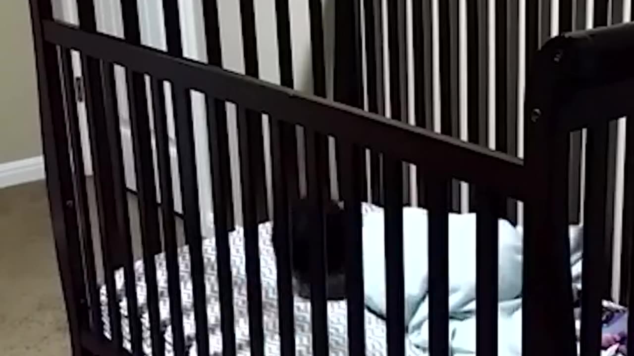 😂 baby's escape moment 😍🤣