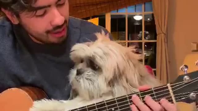 Man serenades his doggy with beautiful Spanish song