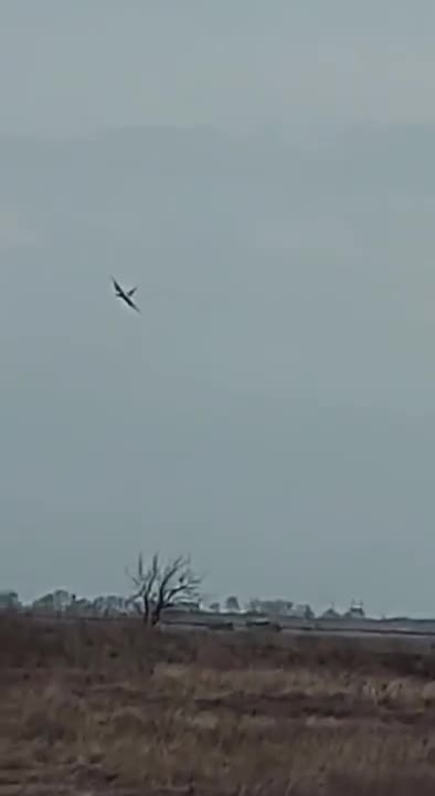 Near Kherson, the pilot crashed his plane into enemy columns and destroyed it.