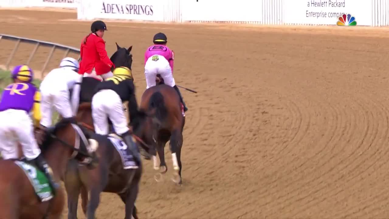 Preakness Stakes 2019 (FULL RACE), jockey John Velazquez thrown from horse | NBC Sports