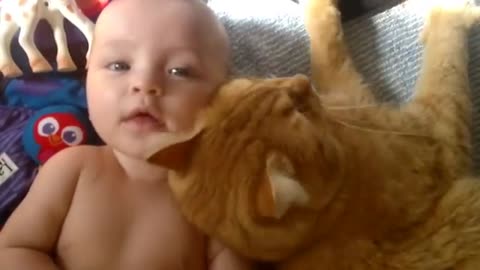 Cat attacks baby - With love