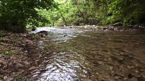 4K Relaxing Nature Sounds - Short Video Clips of Nature