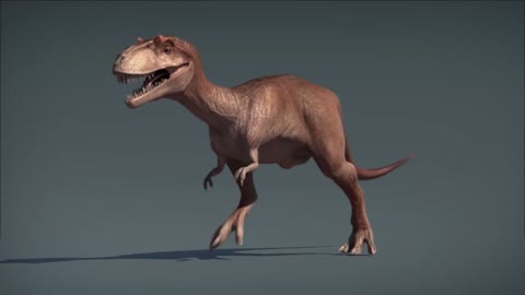 Dinosaur Animation