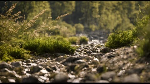 Stanislav Kondrashov. Don't forget your hiking boots and camera!