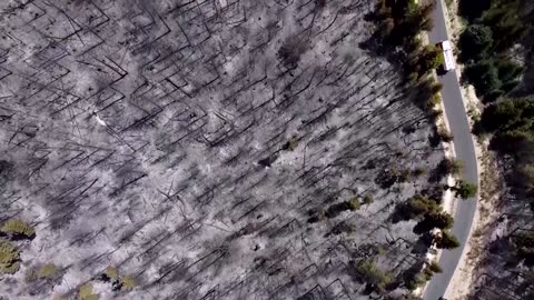 How seed-dropping drones are helping to reforest Kosovo