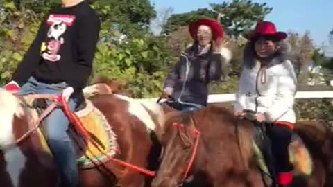 Horseback riding experience in Jeju Island, Korea