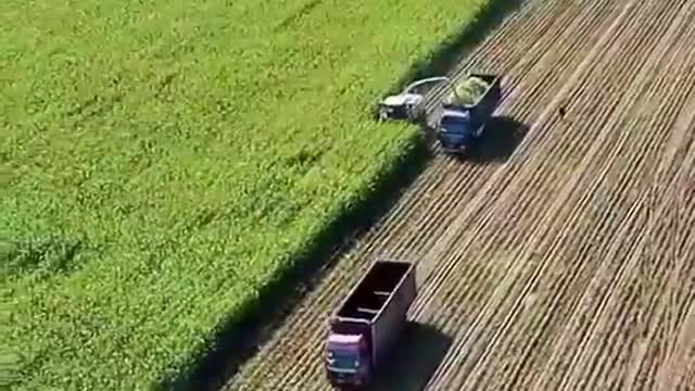 🤩Skilled and agile workers🤩