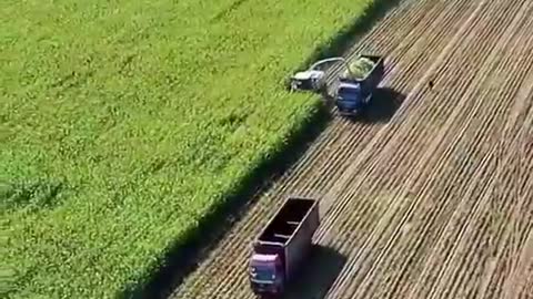 🤩Skilled and agile workers🤩