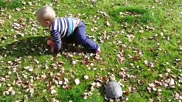 Most Funnies Baby vs Animal😂