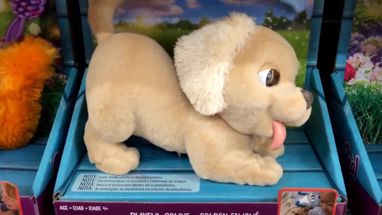 Playful Goldie Dog Toy