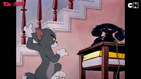 Tom and Jerry