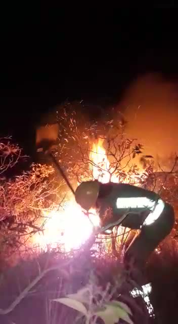 Incendio Mesa de los Santos