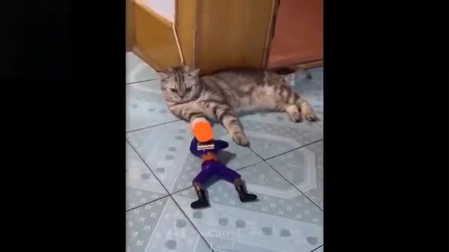 Cute And Funny Pets Try Not To Laugh To These Pets Compilation # 1 Cutest Lands