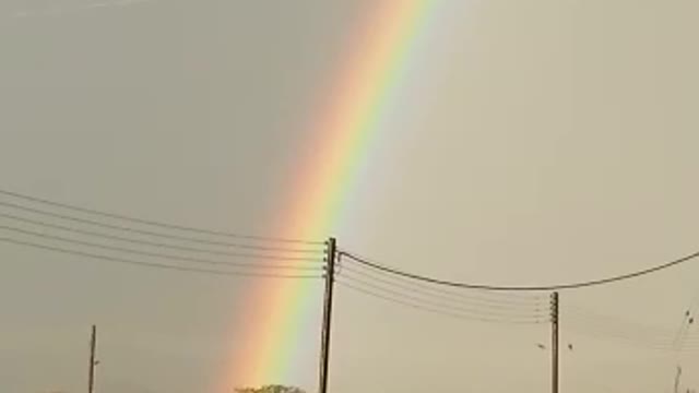 Rainbow